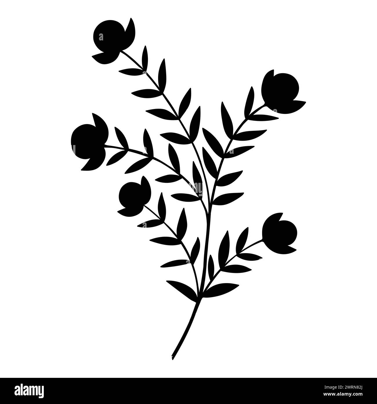 doodle vegetale, silhouette singola pianta isolata su sfondo bianco Illustrazione Vettoriale