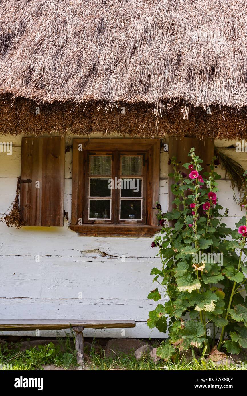 Una finestra di una vecchia casa di campagna con persiane di legno e fiori dietro il vetro Foto Stock