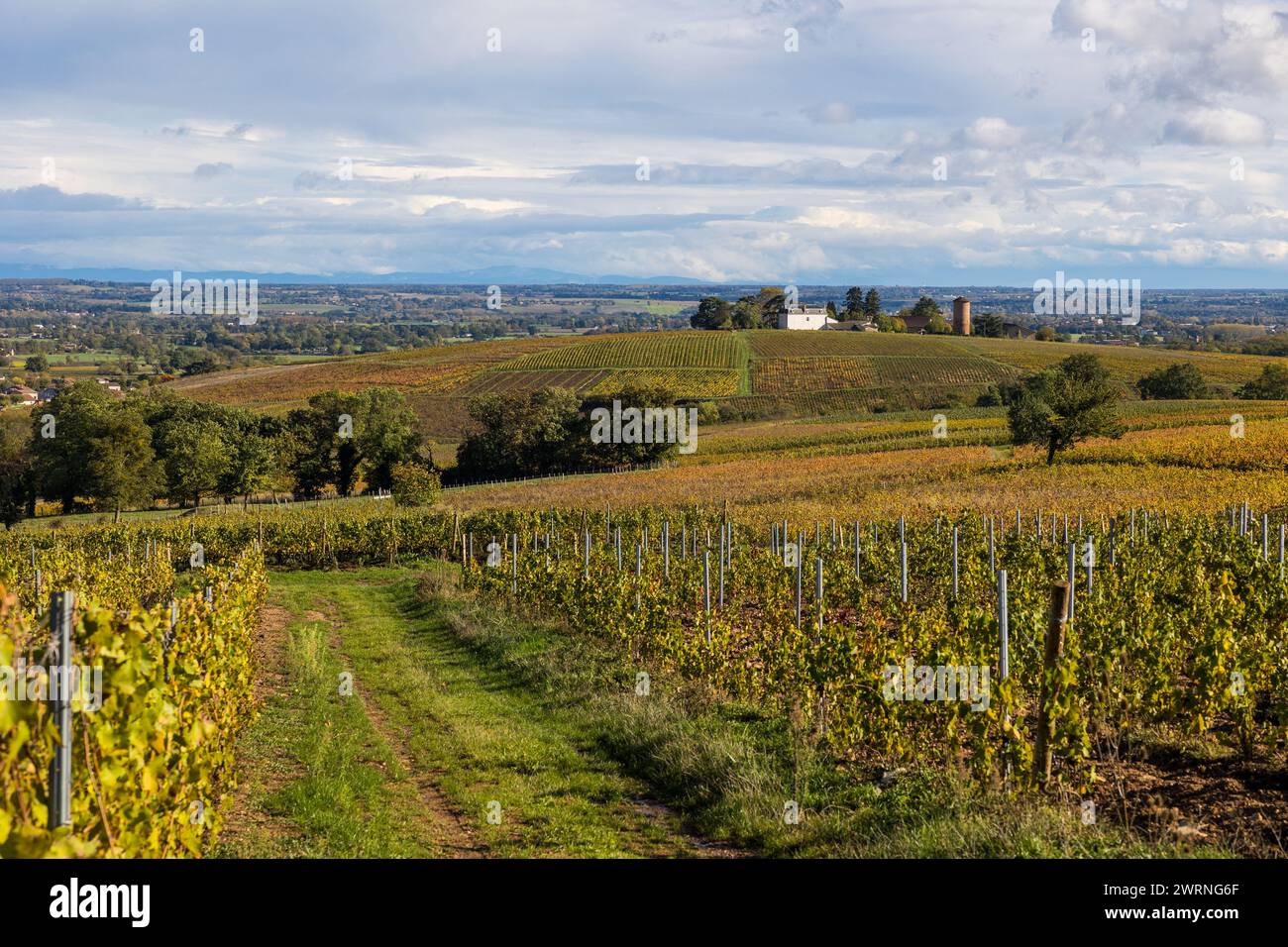 Hameau de Monternot, dans la commune de Charentay, au cœur des vignes du Beaujolais, près du Mont Brouilly Foto Stock