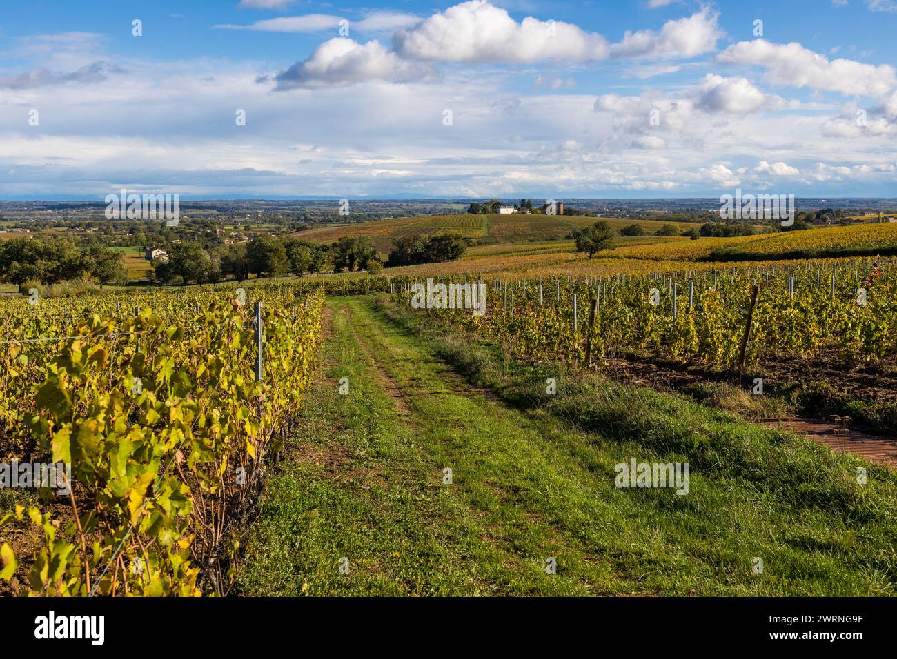 Hameau de Monternot, dans la commune de Charentay, au cœur des vignes du Beaujolais, près du Mont Brouilly Foto Stock
