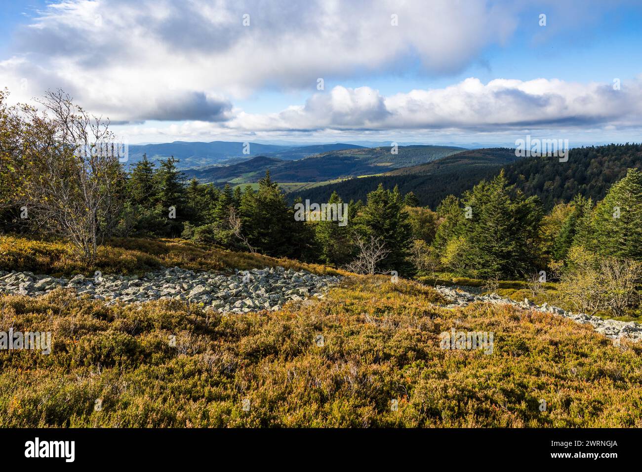 Panorama sur le parc naturel régional du Pilat depuis la Crêt de la Chèvre, à 1400m d’altitudine en automne Foto Stock