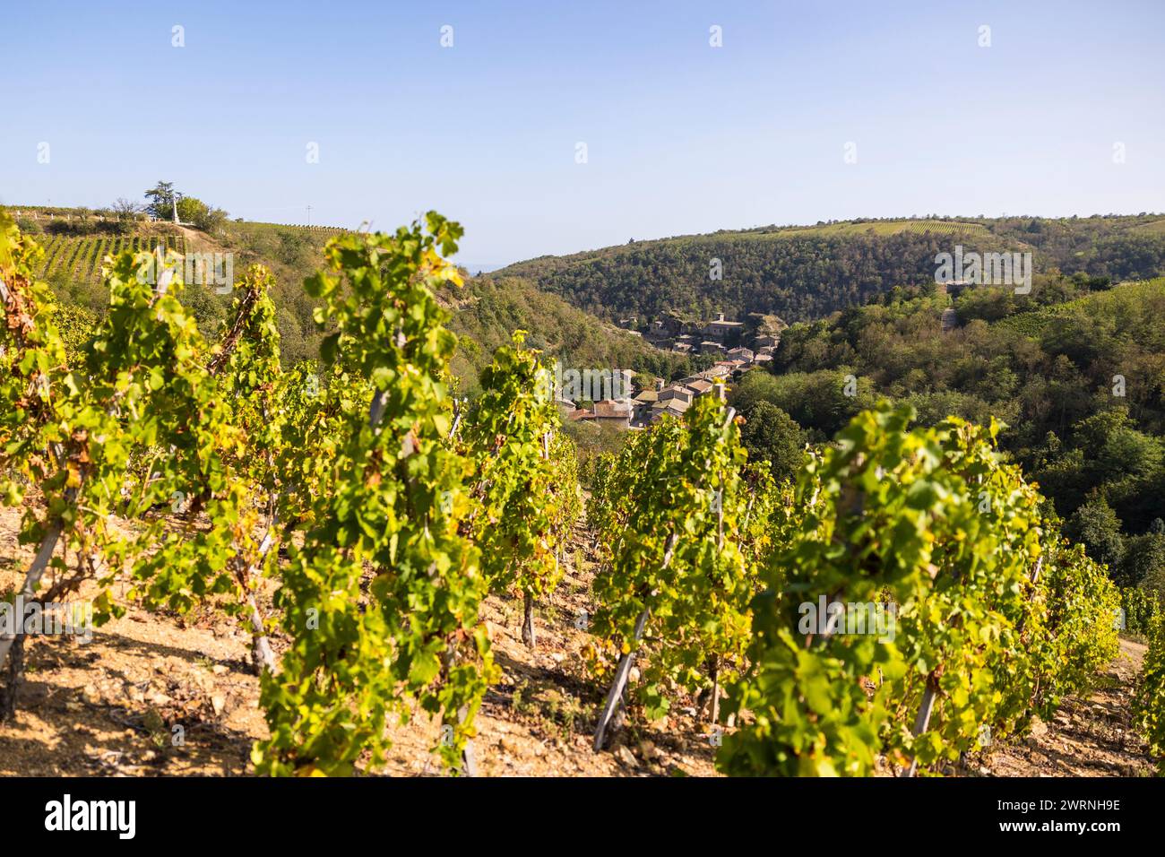 Village médiéval de Malleval depuis les vignobles de l’appellation Côtes-du-Rhône, sur un coteau très brusco Foto Stock
