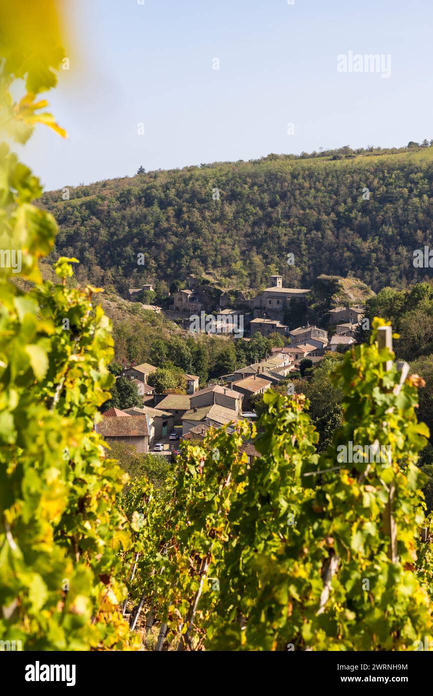 Village médiéval de Malleval depuis les vignobles de l’appellation Côtes-du-Rhône, sur un coteau très brusco Foto Stock