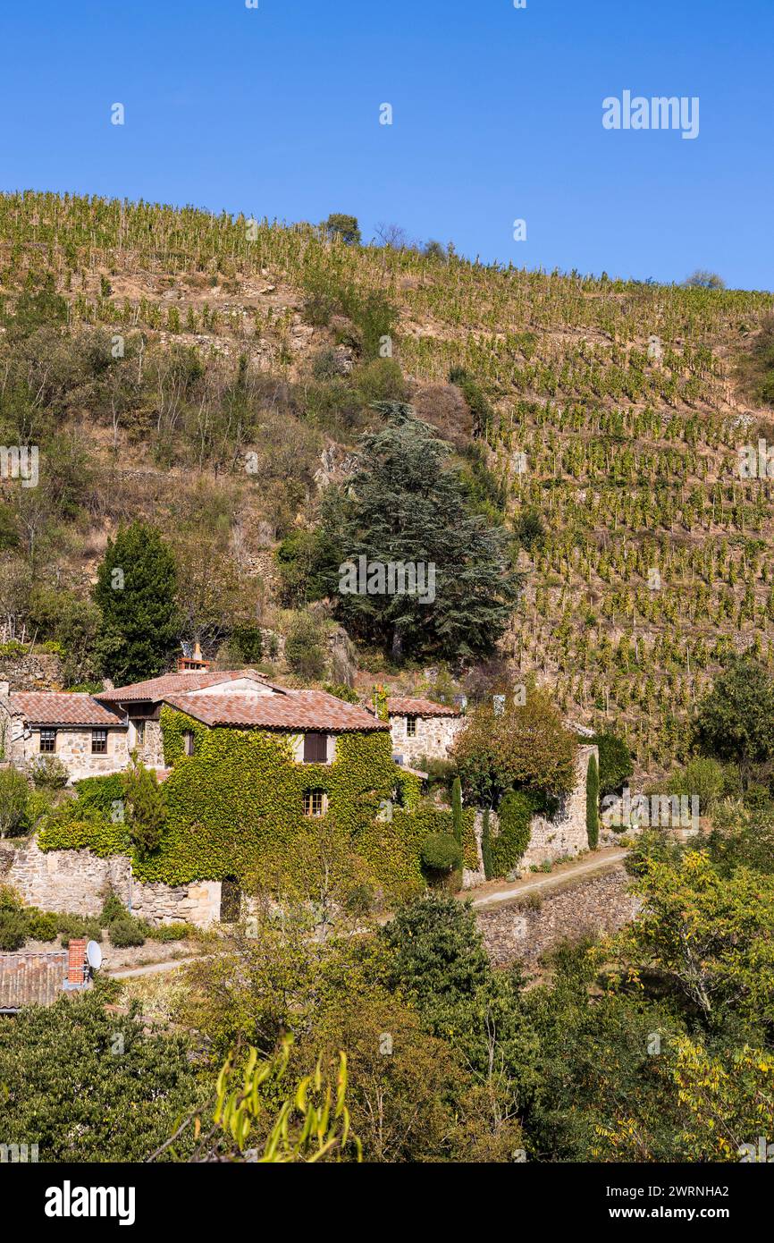 Vignoble de l’appellation Côtes-du-Rhône, sur un coteau très abrupte, dans le Village médiéval de Malleval Foto Stock