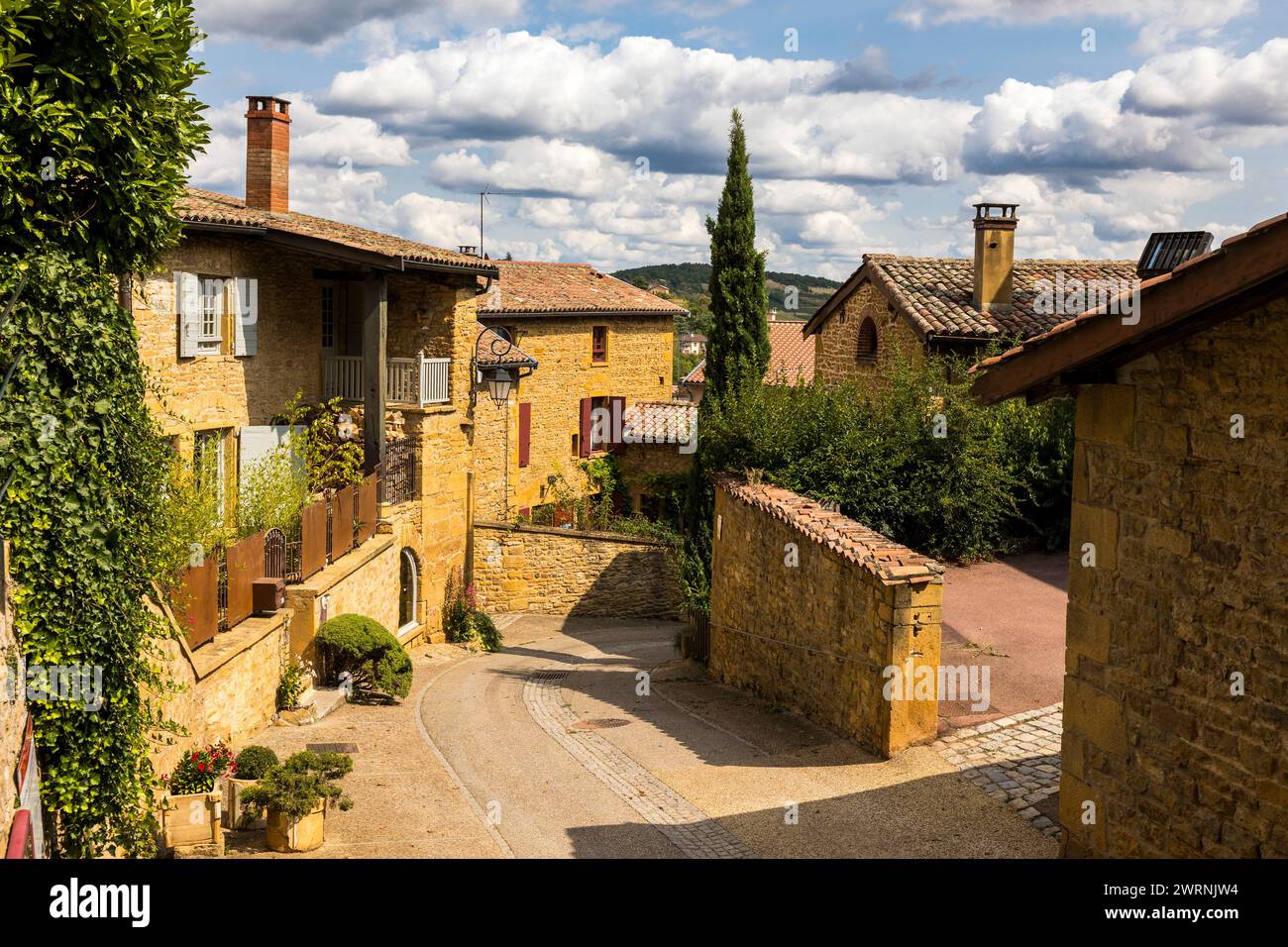 Rue et maisons en pierres dorées typique de cette région du Beaujolais dans le médiéval d’Oingt Foto Stock