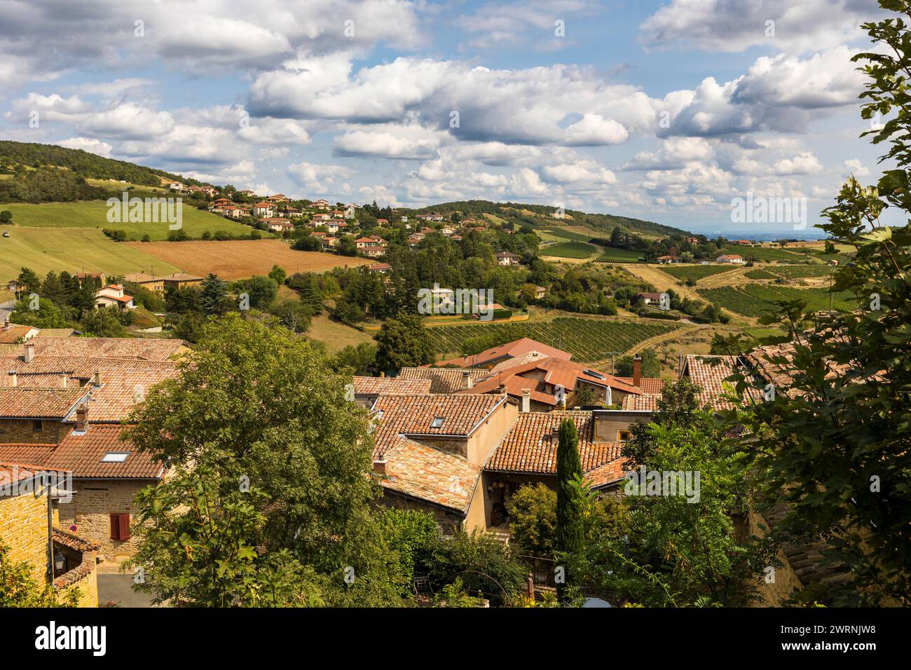 Village médiéval d’Oingt construit en pierres dorées typique de cette région du Beaujolais dominant un paysage de collines et de vignobles depuis le S. Foto Stock