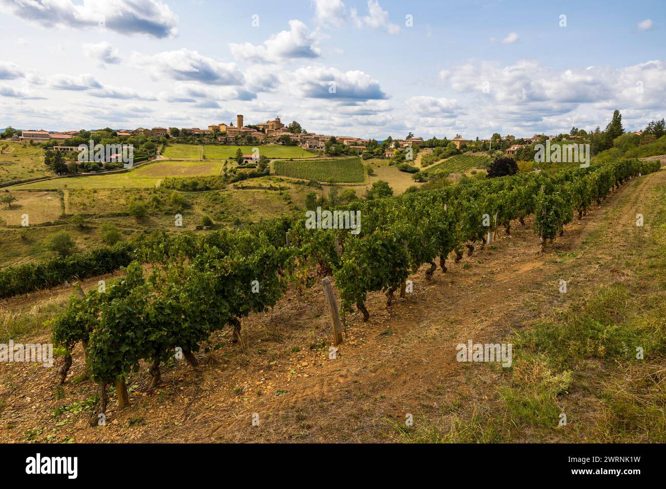 Village médiéval d’Oingt construit en pierres dorées typique de cette région du Beaujolais depuis les vignobles aux alentours Foto Stock