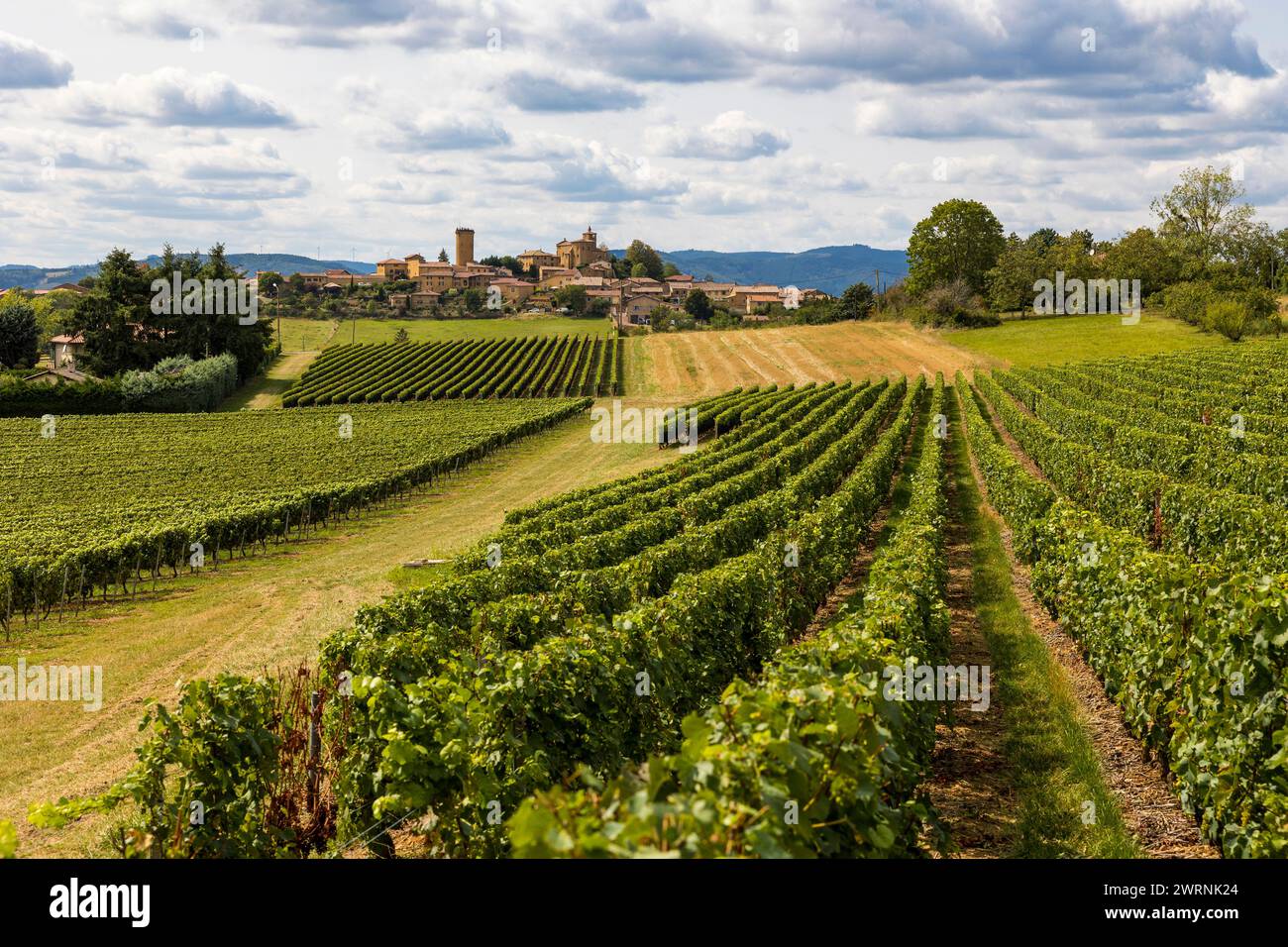 Village médiéval d’Oingt construit en pierres dorées typique de cette région du Beaujolais depuis les vignobles aux alentours Foto Stock