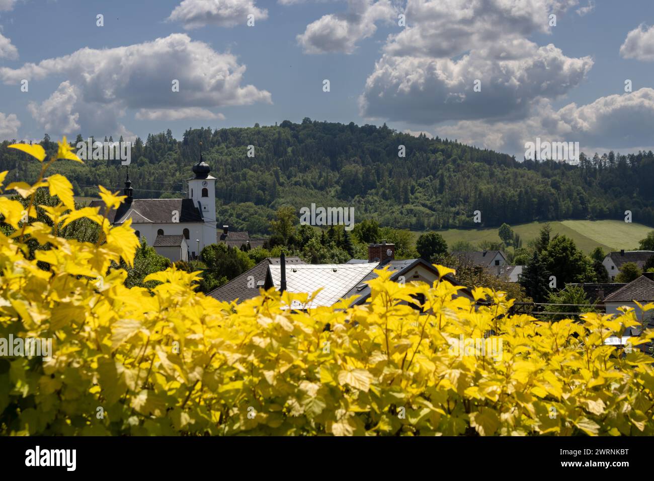 Foglie sfocate gialle in primo piano. Vista sul villaggio con la torre della chiesa di Ognissanti. Campo e foresta sulla collina. Cielo blu, nuvole bianche. Foto Stock