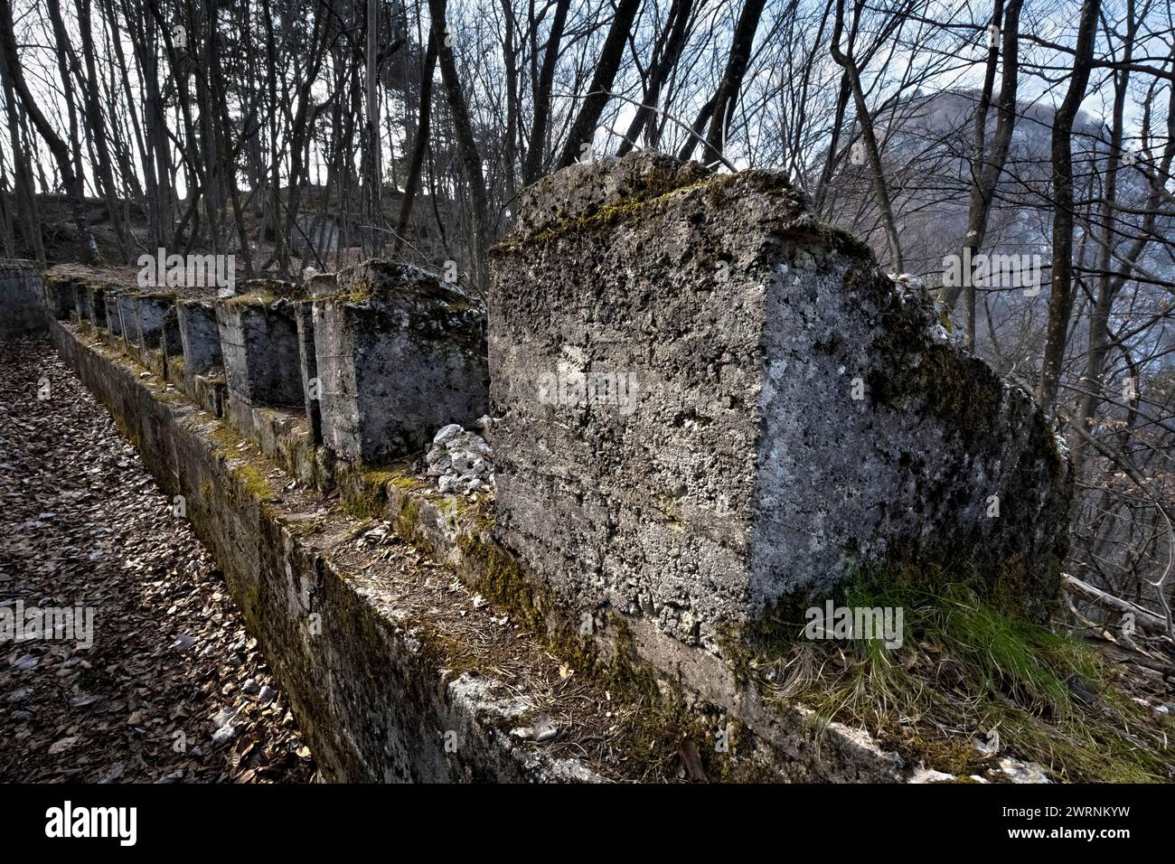 Resti delle trincee in cemento della roccaforte austro-ungarica della grande Guerra del Monte Celva. Trento, Trentino, Italia Foto Stock