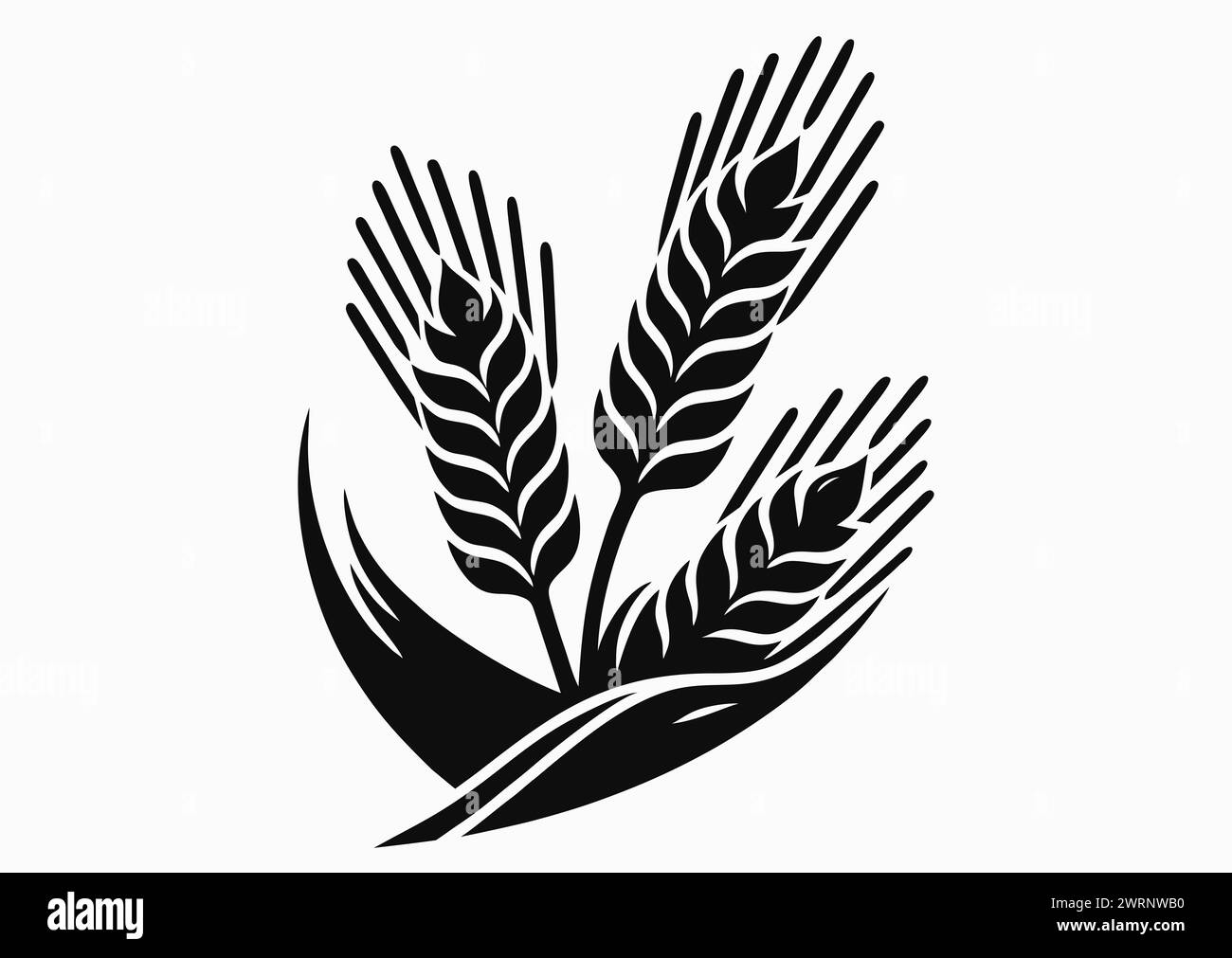 Disegno monocromatico di orecchie di grano isolate su sfondo bianco. Set di parti di piante di cereali coltivate, elementi decorativi. Illustrazione vettoriale Foto Stock