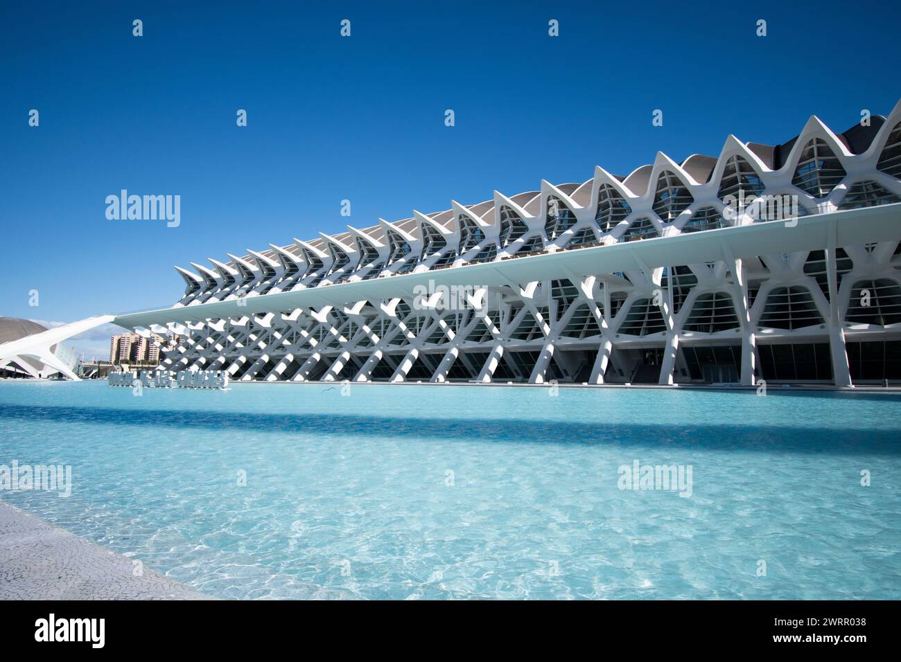 Edificio del Museo de Ciencias dentro del complejo de la Ciudad de las Artes y las Ciencias de Valencia. Foto Stock