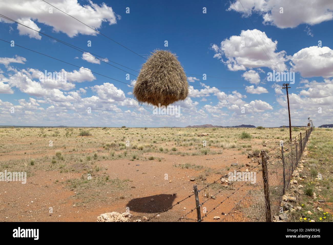 Il paesaggio di Northern Cape con un nido di tessitore socievole sospeso a mezz'aria su una linea telefonica tra due poli Foto Stock