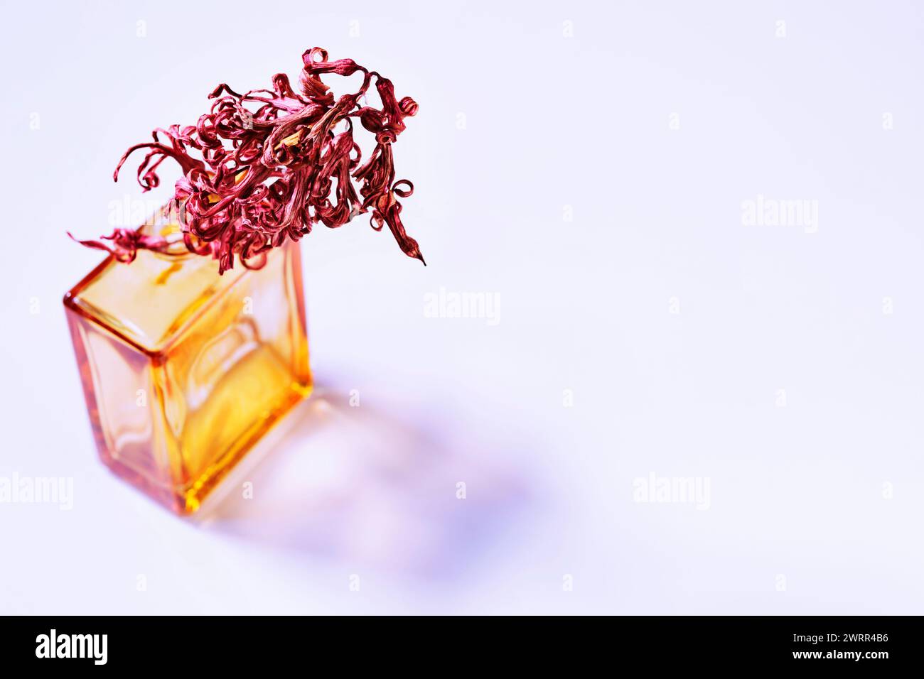 Fiore secco rosso in vaso di vetro su sfondo bianco , attività romantica , momento dedicato ai ricordi Foto Stock