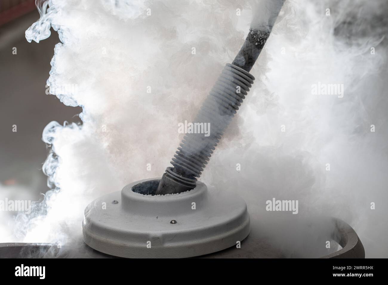 Un vaso dewar sfiora attivamente il vapore, dimostrando l'estremo freddo dell'azoto liquido immagazzinato Foto Stock