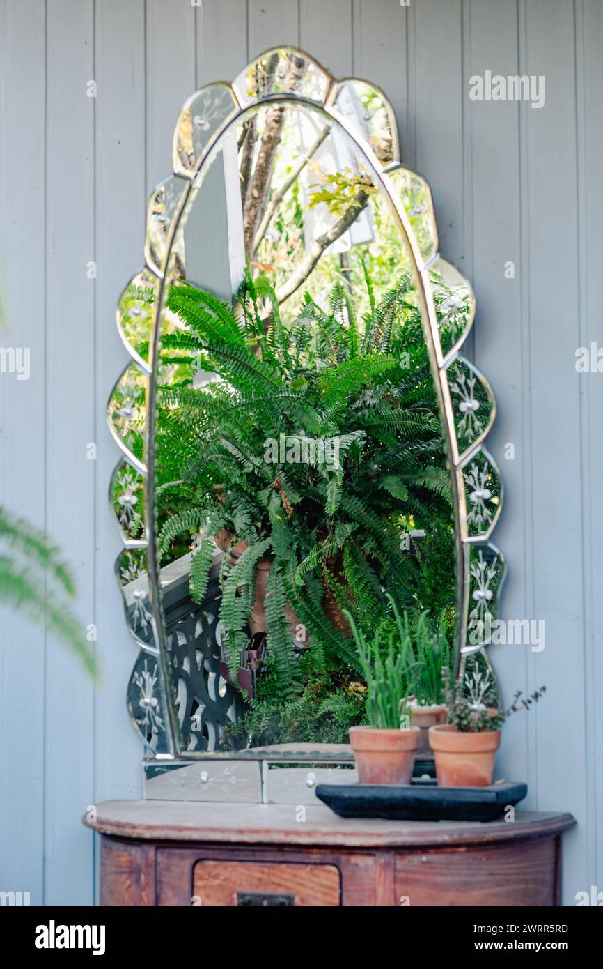 Uno specchio decorato riflette la lussureggiante vegetazione di un giardino, creando un'illusione simile a una finestra su una parete di legno bianco. Le piante in vaso si aggiungono alla scena rustica e tranquilla. Foto Stock