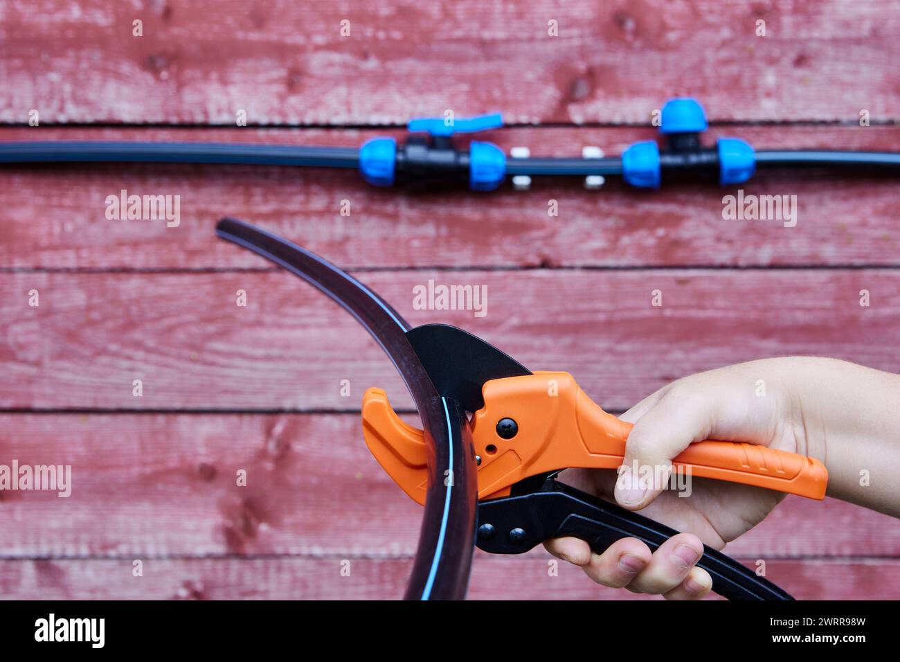 Assemblando una tubazione esterna per acqua potabile e irrigazione, l'idraulico taglia il tubo in HDPE con un tagliatubi a cricchetto. Foto Stock
