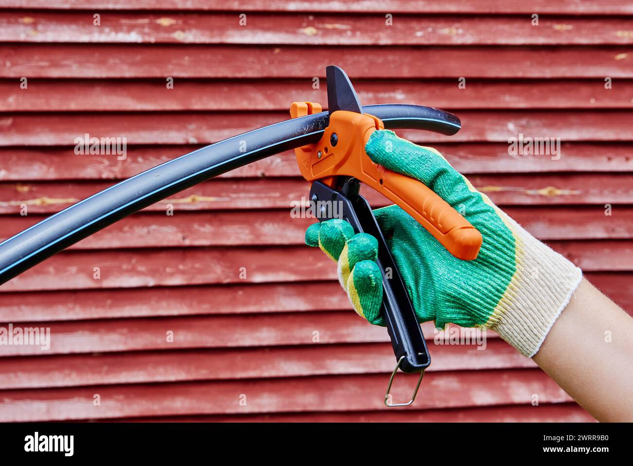 Installazione di un sistema di alimentazione idrica esterno, l'idraulico taglia tubi in HDPE con tagliatubi con cricchetto sullo sfondo di una parete di legno rossa, primo piano. Foto Stock