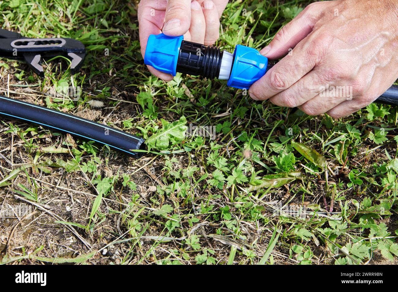 Assemblaggio dell'alimentazione dell'acqua di irrigazione, l'idraulico collega i tubi con il raccordo di accoppiamento a compressione. Foto Stock