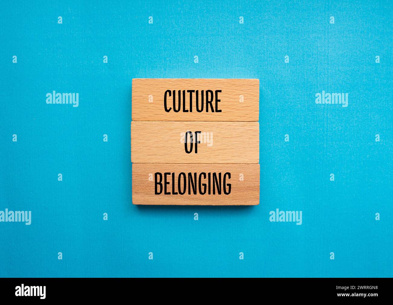 Cultura di appartenenza parole scritte su blocchi di legno con sfondo blu. Simbolo commerciale concettuale. Copia spazio. Foto Stock