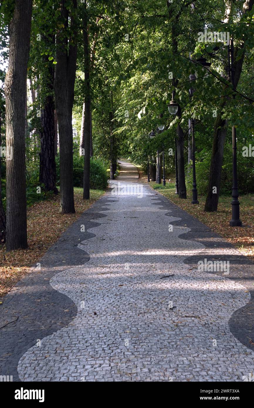 Splendido paesaggio con percorso a piedi che parte dalle pietre di pavimentazione nella foresta dell'area del parco di Jurmala in autunno Foto Stock