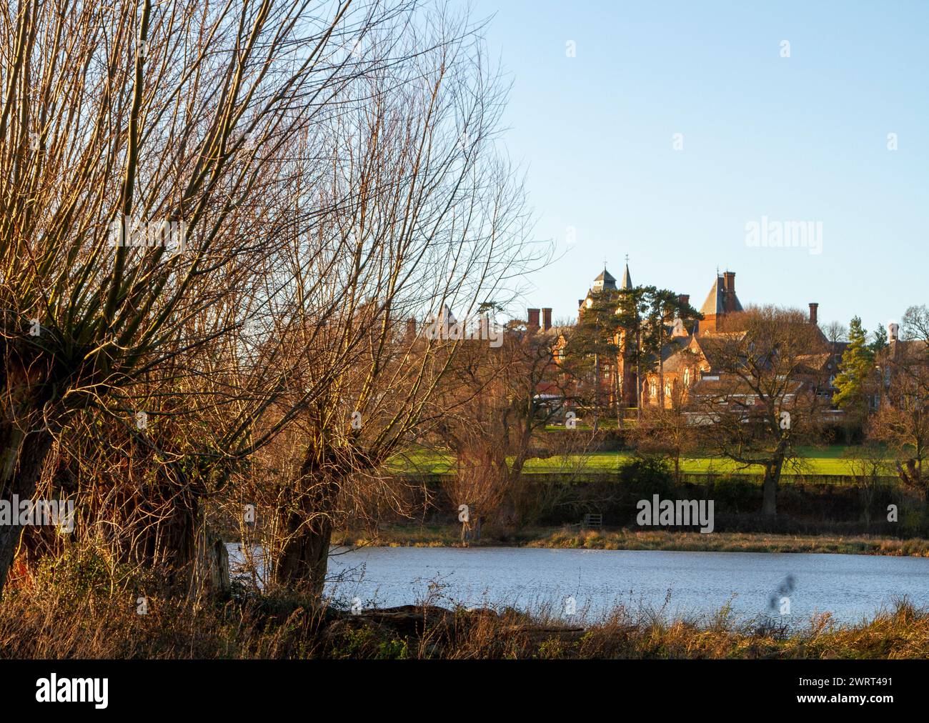 Vicino al Framlingham Mere o agli alberi di lago pollarded in primo piano e alla luce del sole invernale, con la pila gotica che è il Fram College a metà distanza Foto Stock