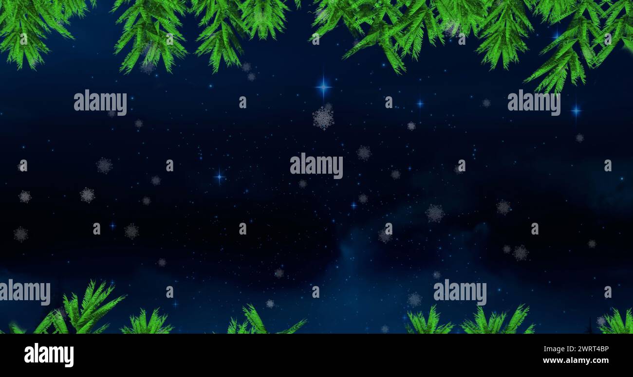 Rami di alberi verdi e neve che cadono contro stelle blu brillanti nel cielo notturno Foto Stock