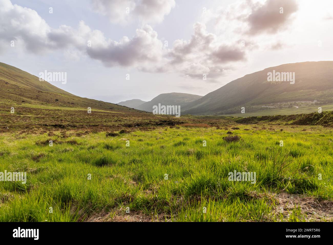 Le dolci pendici delle Highlands scozzesi si crogiolano al sole del tardo pomeriggio, con la vegetazione dell'Isola di Skye che si estende sotto un cielo dinamico di piscine delle fate Foto Stock