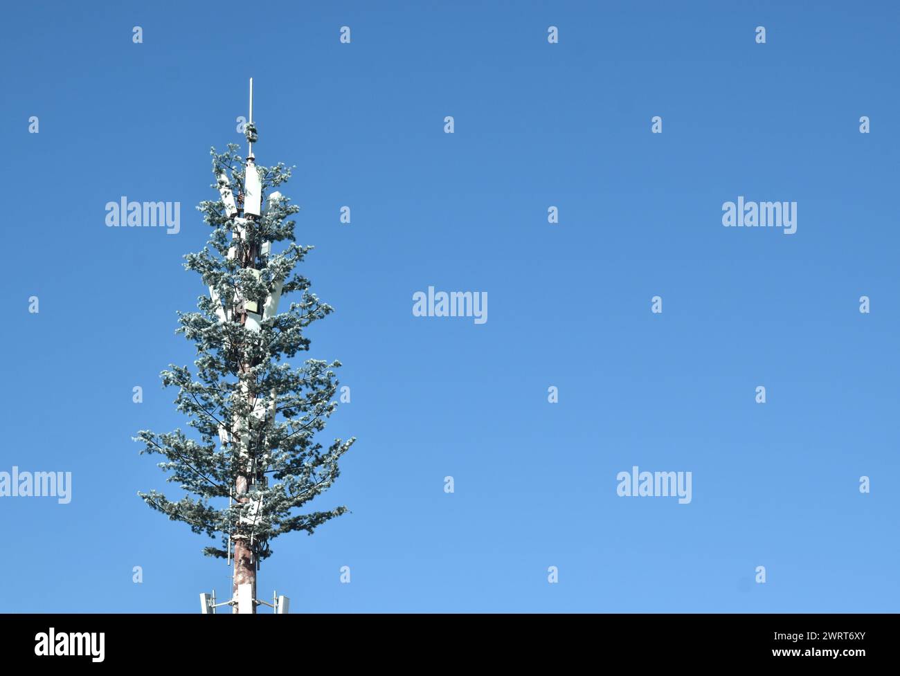 Palo di telecomunicazione con decorazione floreale su nuvola e cielo nelle giornate di sole in Cina Foto Stock