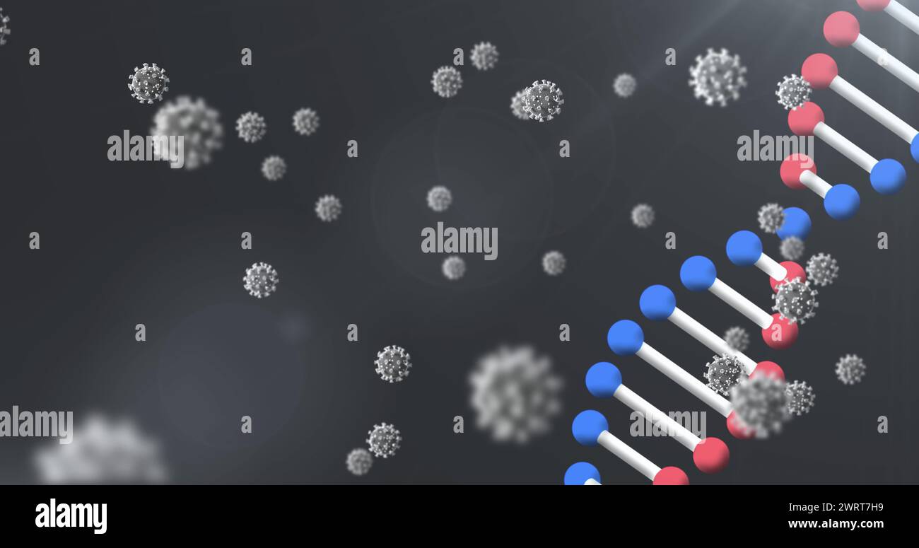 Immagine del filamento di DNA 3d che gira con cellule del coronavirus Covid 19 che fluttuano su sfondo nero Foto Stock