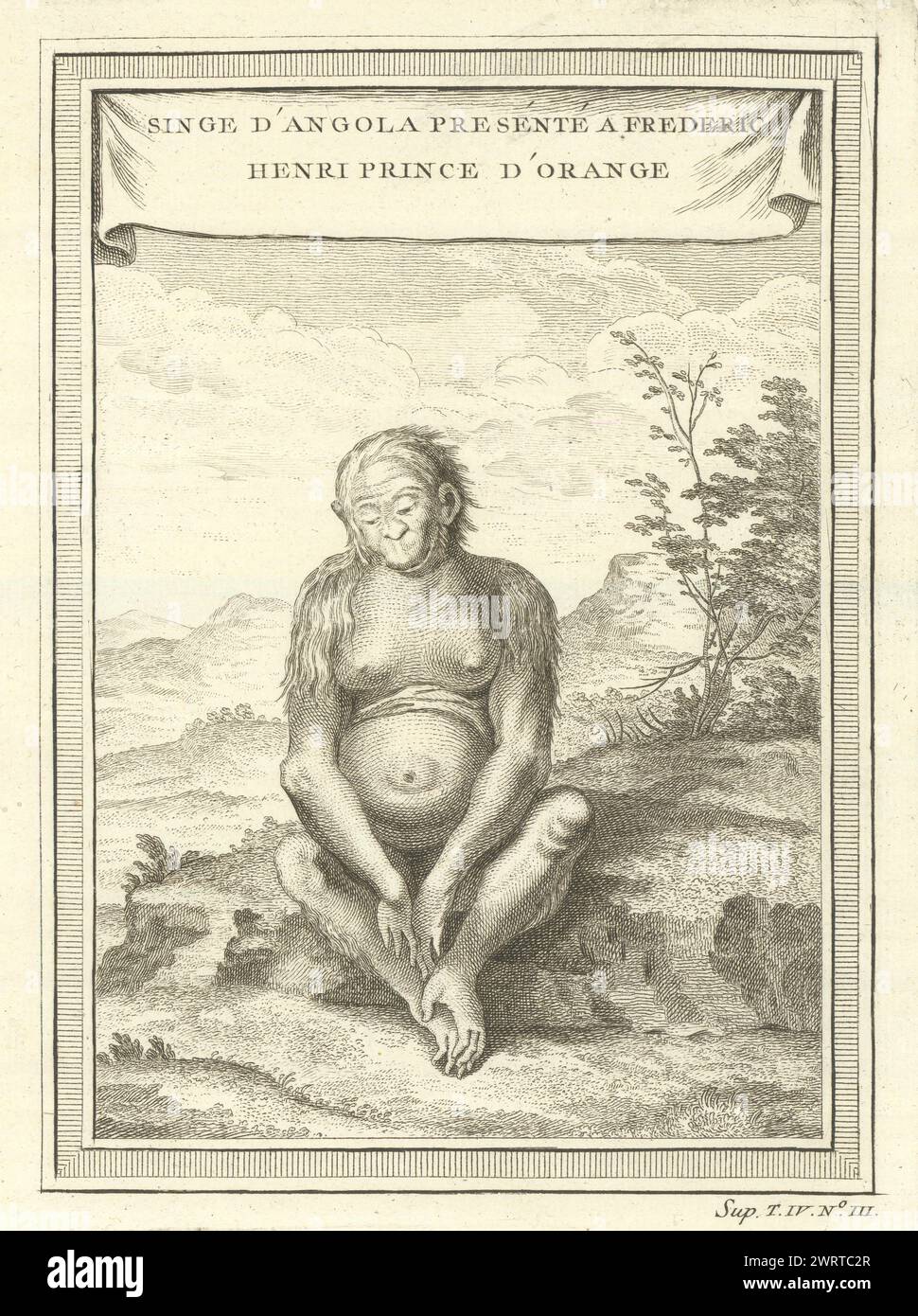 Scimmia dall'Angola, presentata a Federico Enrico, Principe d'Orange. BELLIN 1747 Foto Stock
