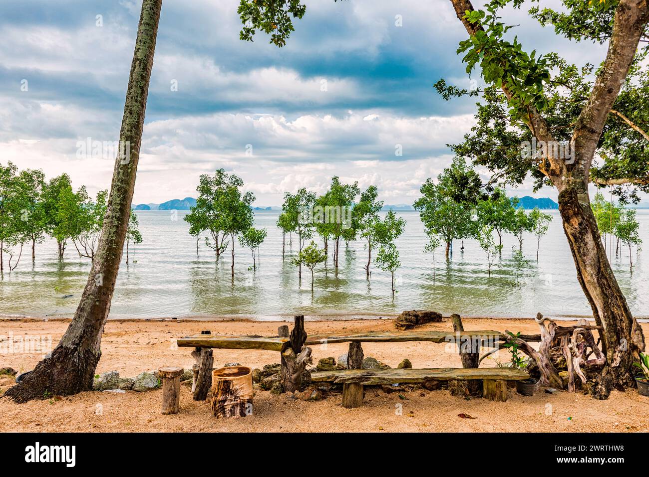Alberi nell'acqua su un tratto di spiaggia allagato sull'isola di Koh Yao noi, livello dell'acqua, cambiamenti climatici, scenari, condizioni meteorologiche, condizioni meteorologiche estreme Foto Stock
