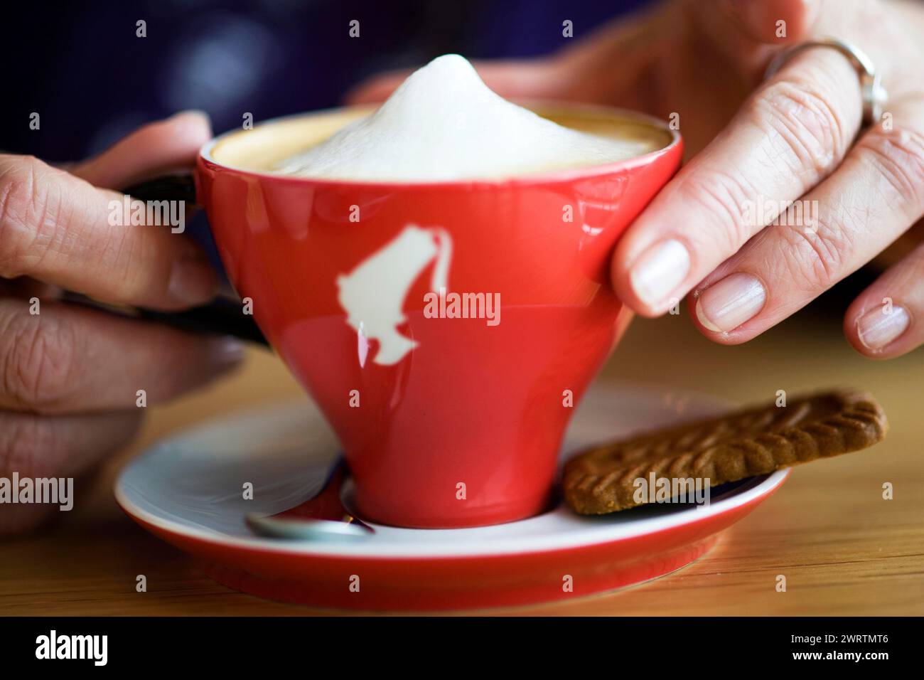 Tazza di cappuccino, bevanda al caffè, crema di latte, biscotti, cucchiaio da caffè Foto Stock