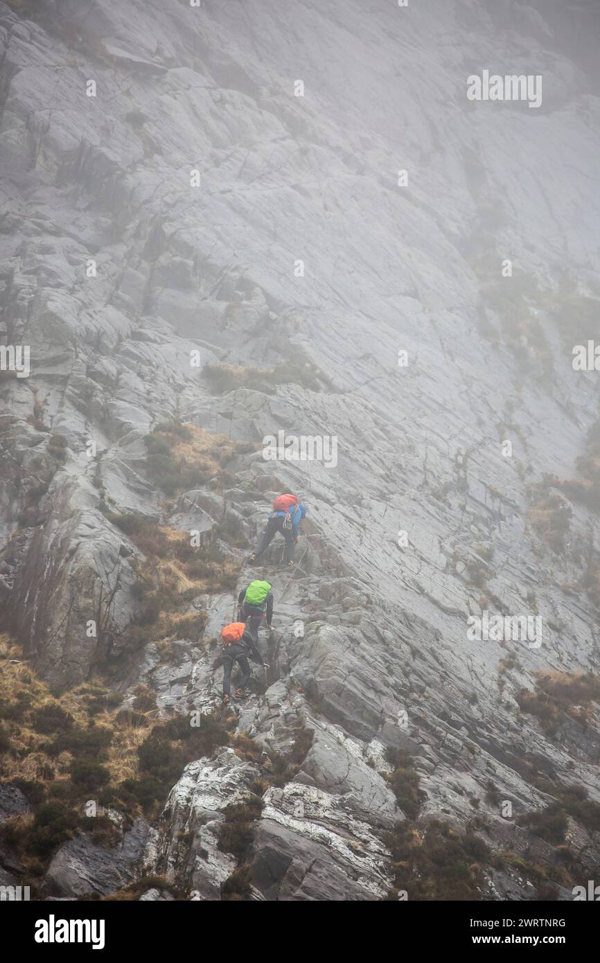 Vista posteriore di scalatori distanti che scalano una parete rocciosa nella nebbia. Foto Stock