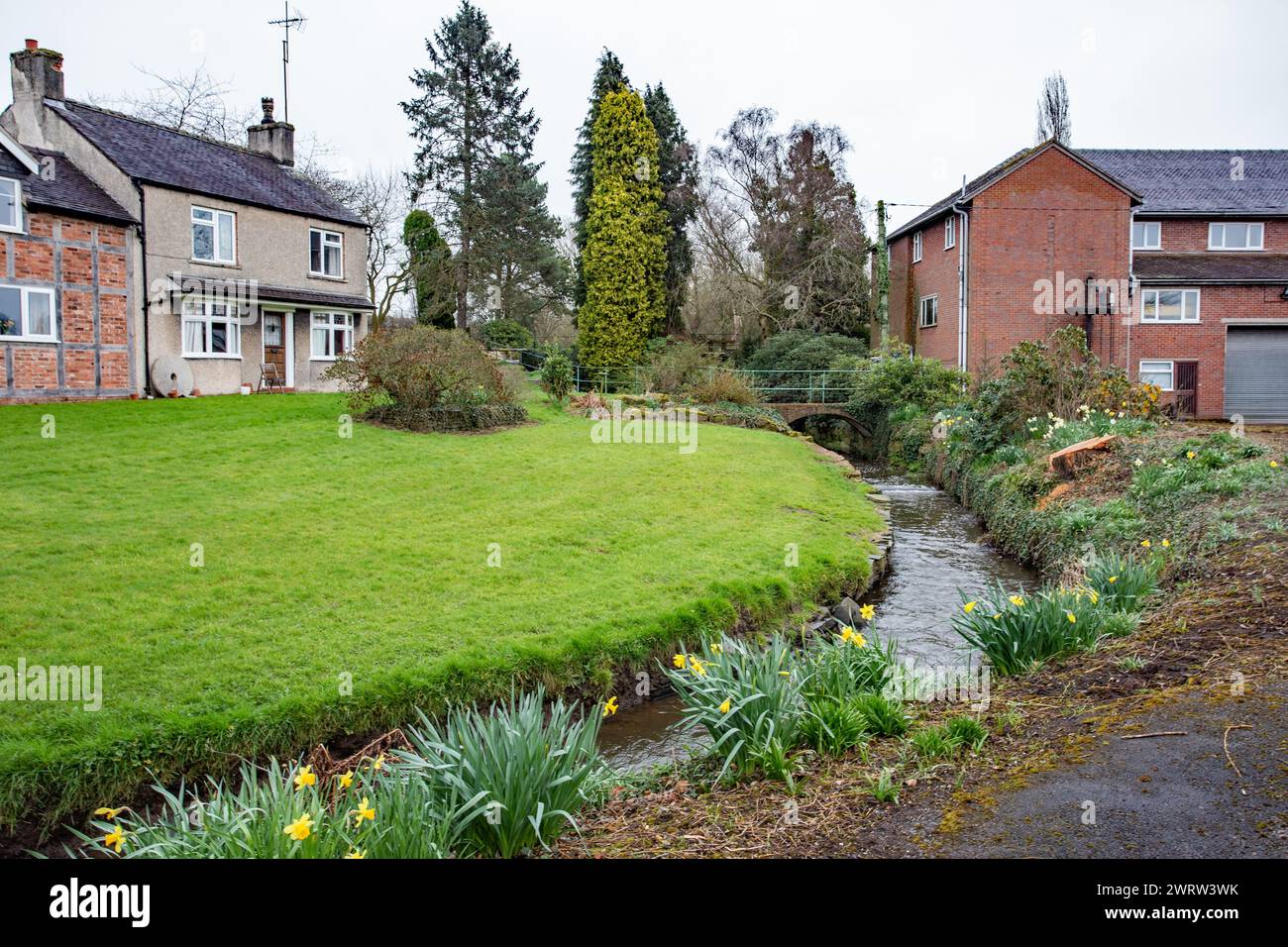 Il vecchio mulino ad acqua su un ruscello nel villaggio di Smallwood nel Cheshire vicino a Congleton in Spring Foto Stock