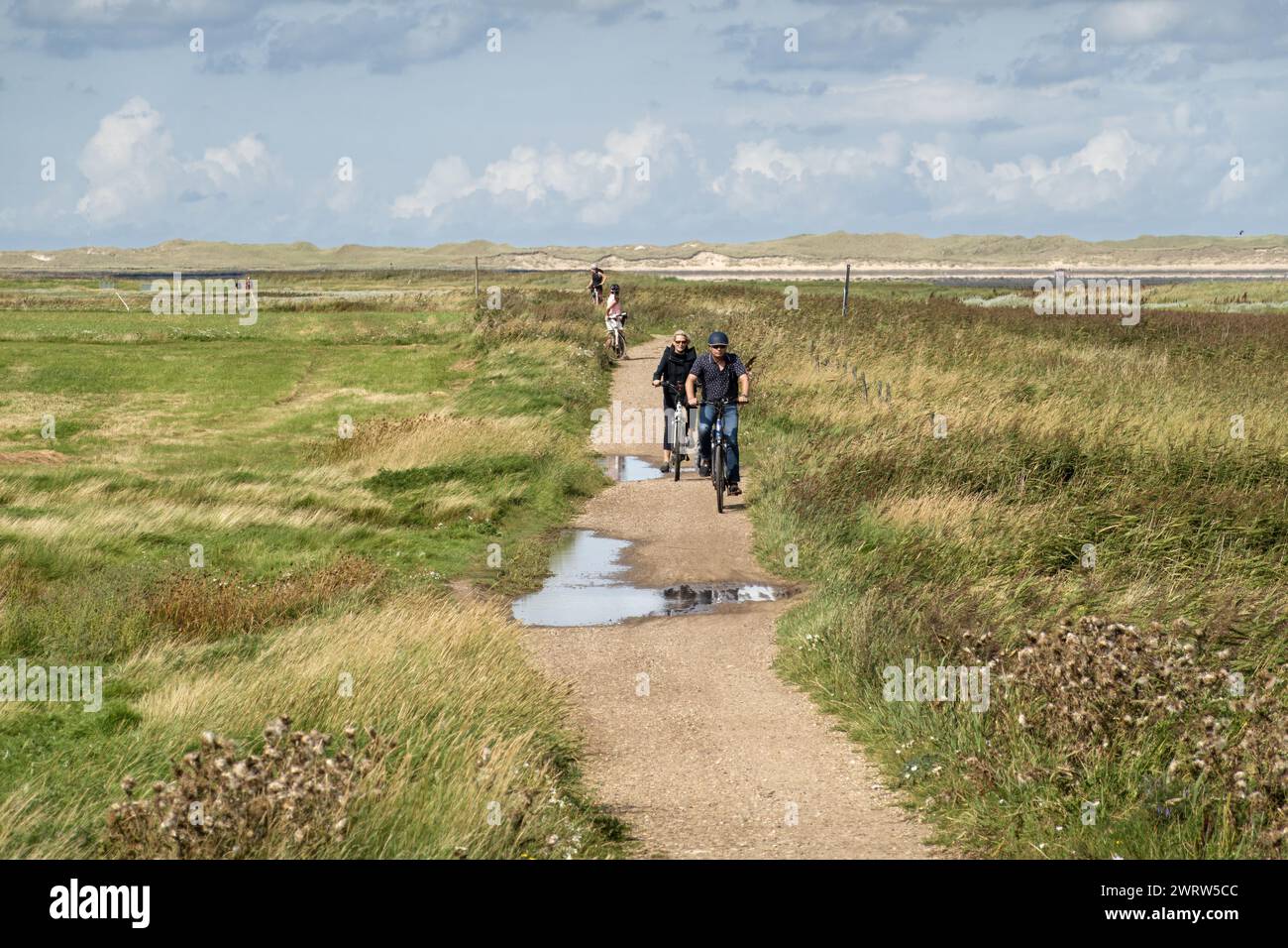 Persone in bicicletta attraverso le saline dell'isola di Amrum, Frisia settentrionale, Schleswig-Holstein, Germania Foto Stock