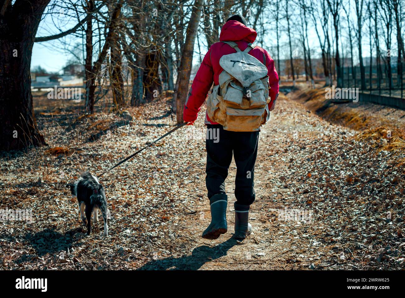 un uomo con uno zaino cammina con un cane lungo un vicolo del parco Foto Stock