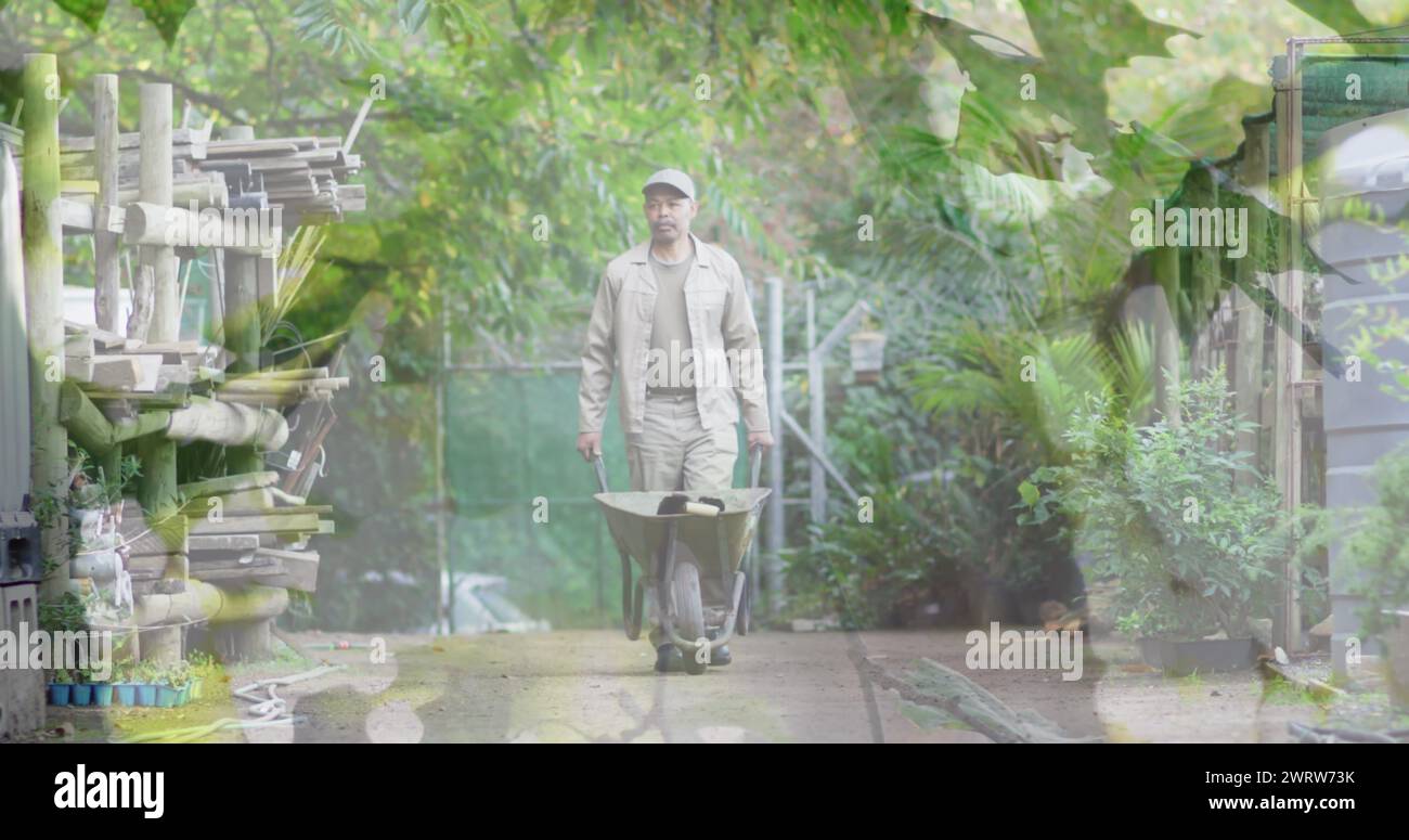 Immagine composita di alberi alti contro un anziano asiatico che muove un carro da giardino nel giardino Foto Stock