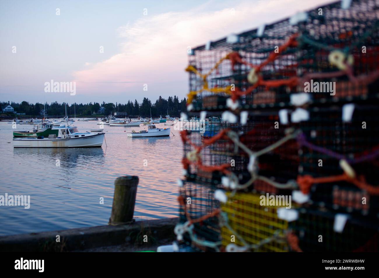 Aragoste vive in vendita a Vinalhaven, Maine, Stati Uniti. Foto Stock