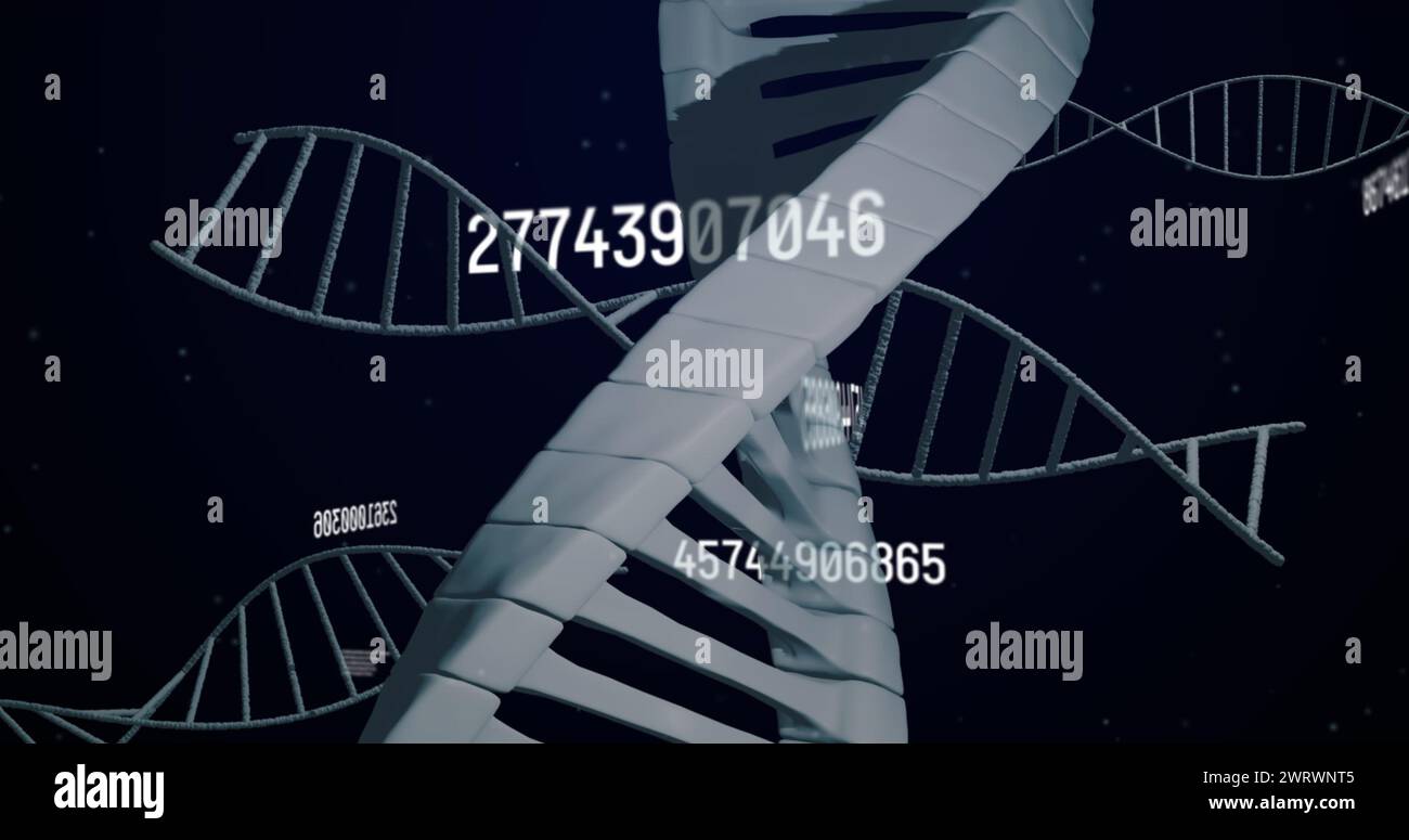 Immagine di numeri, elaborazione dei dati e filatura di dna Foto Stock