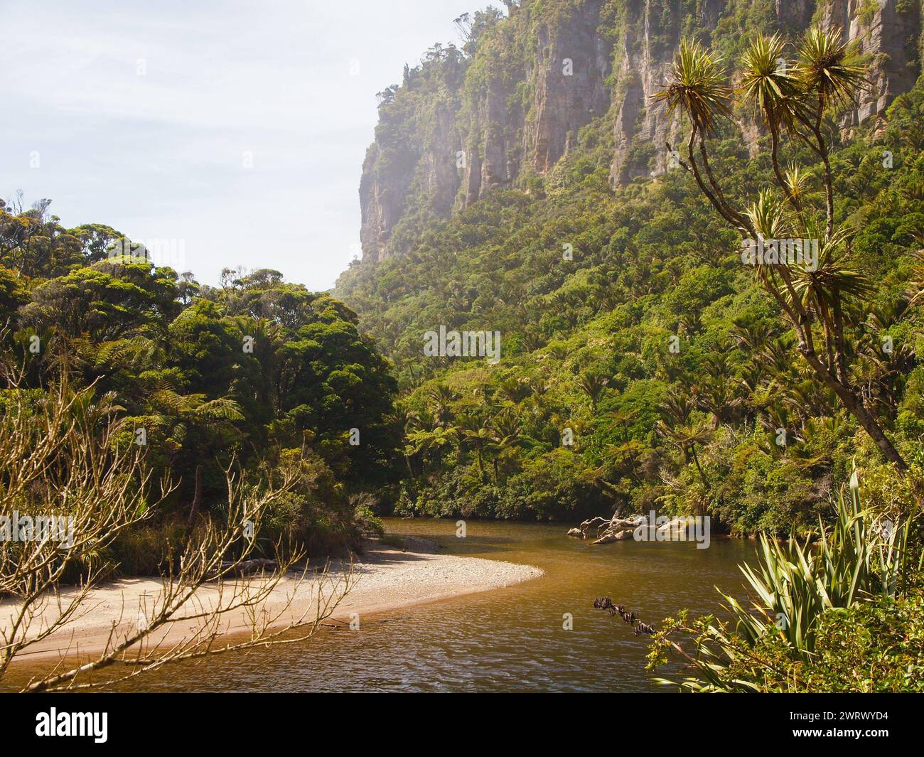 Vista dalla pista di Pororari, Punakaiki - nuova Zelanda Foto Stock