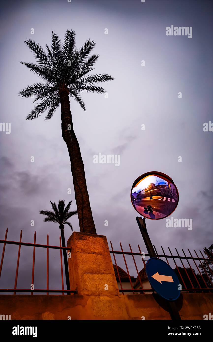 Cartello con lo specchio accanto alla palma nel centro storico di Orihuela Foto Stock