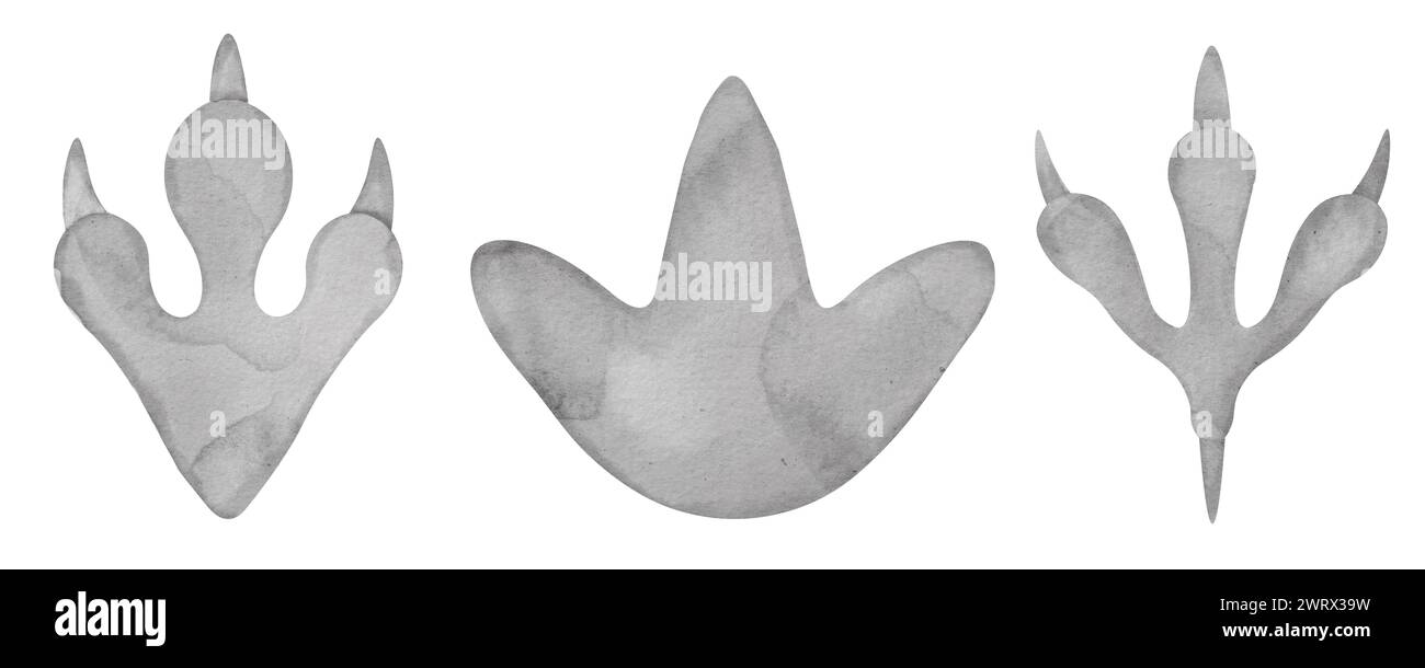 Set di impronte di dinosauro, clip art. Illustrazione della pista Dino Paw. Disegnato a mano su sfondo isolato. Disegno di animali diversi, sagoma del passo. Fossile del periodo giurassico. Per stampe per bambini. Foto Stock