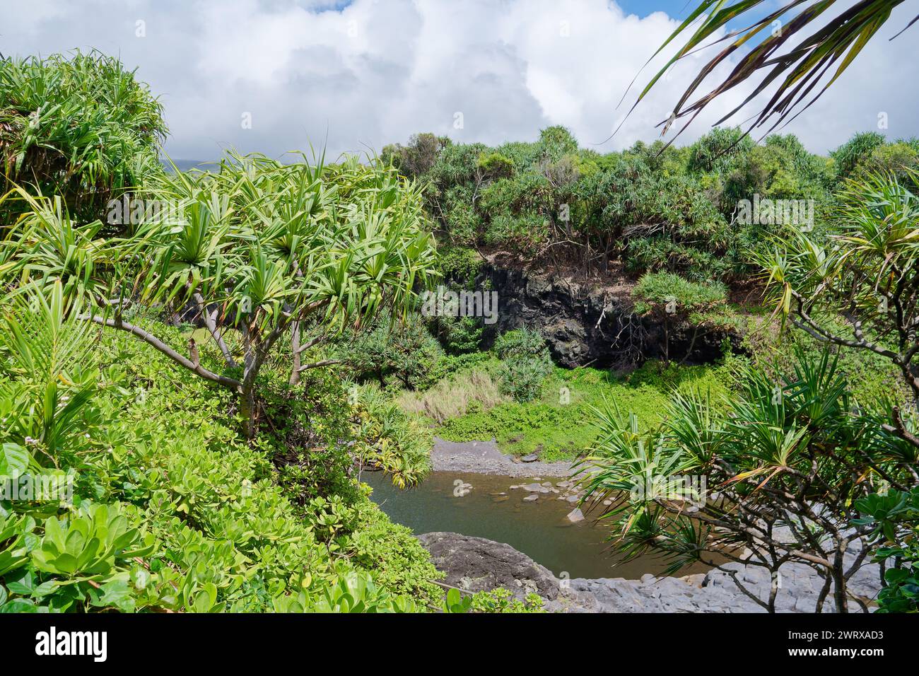 L'Oheo Gulch (chiamato anche Seven Sacred Pools) Haleakala National Park, Isola di Maui, Hawaii, Stati Uniti Foto Stock