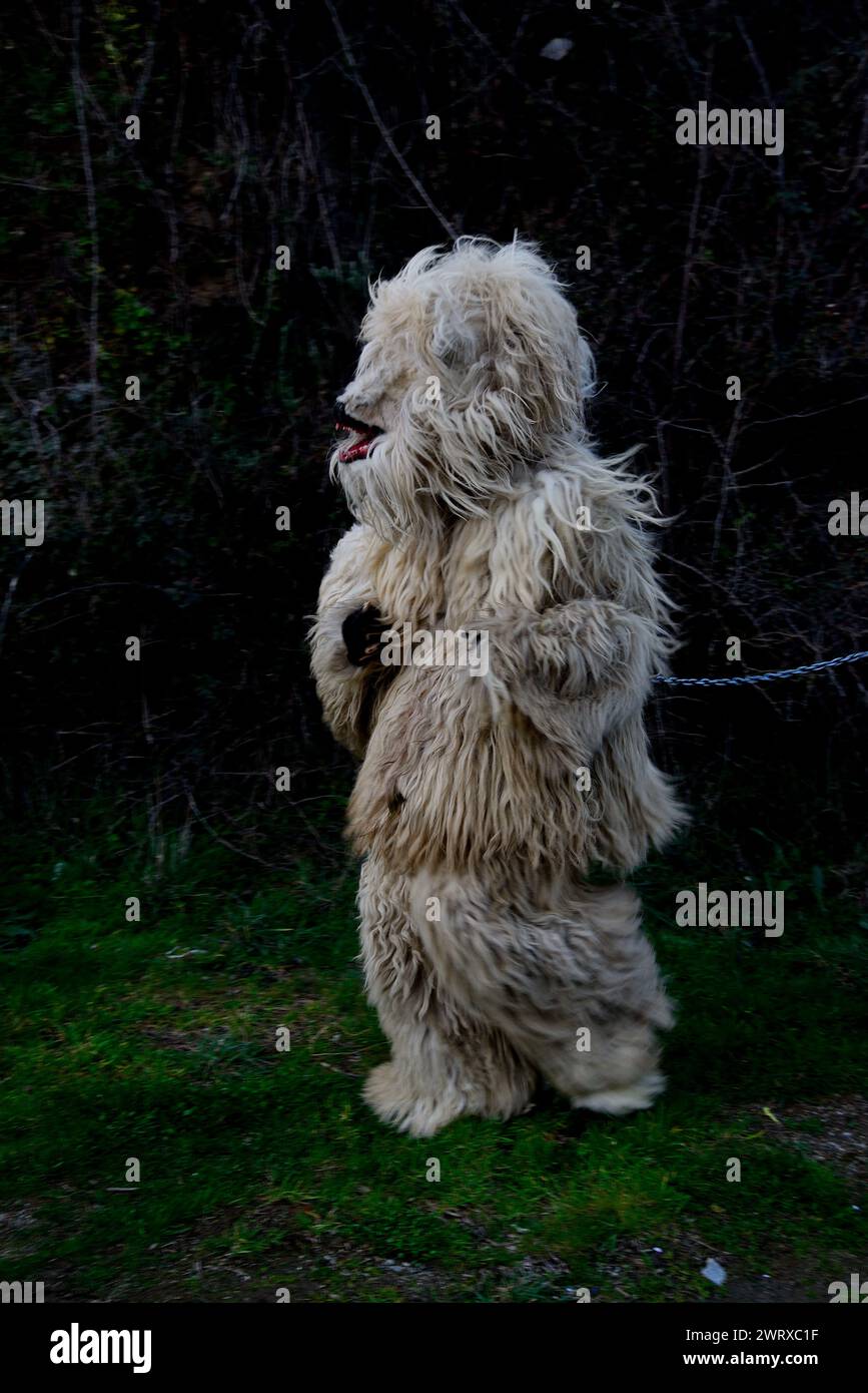 Maschere di la Vijanera di Silio (Cantabria) in Vibo maschera di Viana do Bolo, Ourense, Spagna Foto Stock