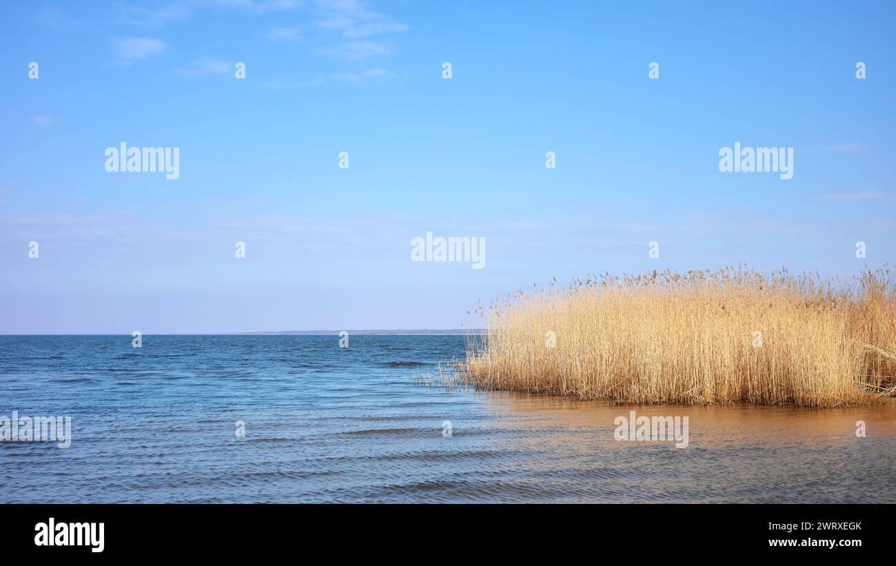Paesaggio tranquillo della laguna di Szczecin nell'estuario dell'Oder, condiviso dalla Germania e dalla Polonia. Foto Stock