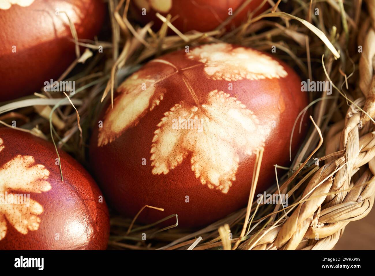 Uova di Pasqua marroni tinte con bucce di cipolla con un motivo di foglie in un cestello, primo piano Foto Stock