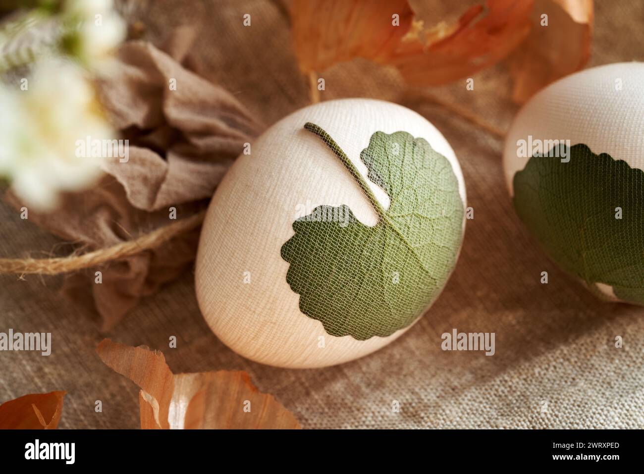 Uovo bianco di Pasqua con erbe aromatiche attaccate con vecchie calze - preparazione per tingere con bucce di cipolla Foto Stock