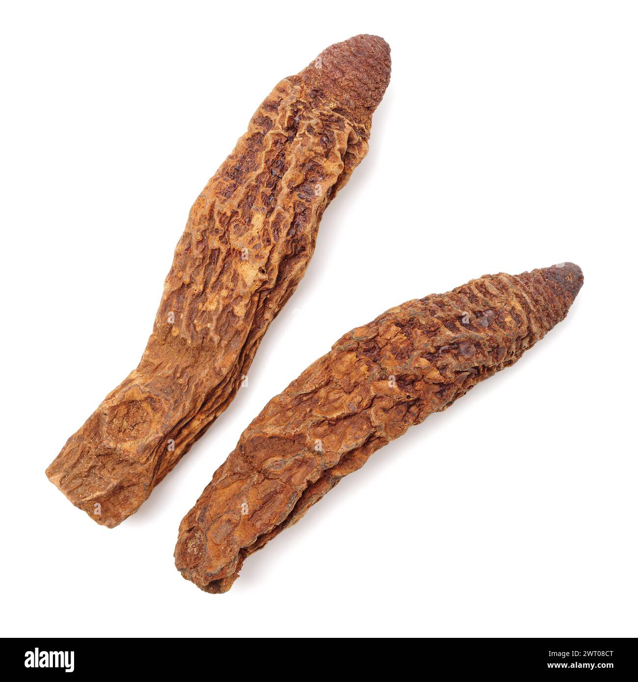 Medicina tradizionale cinese su sfondo bianco Foto Stock