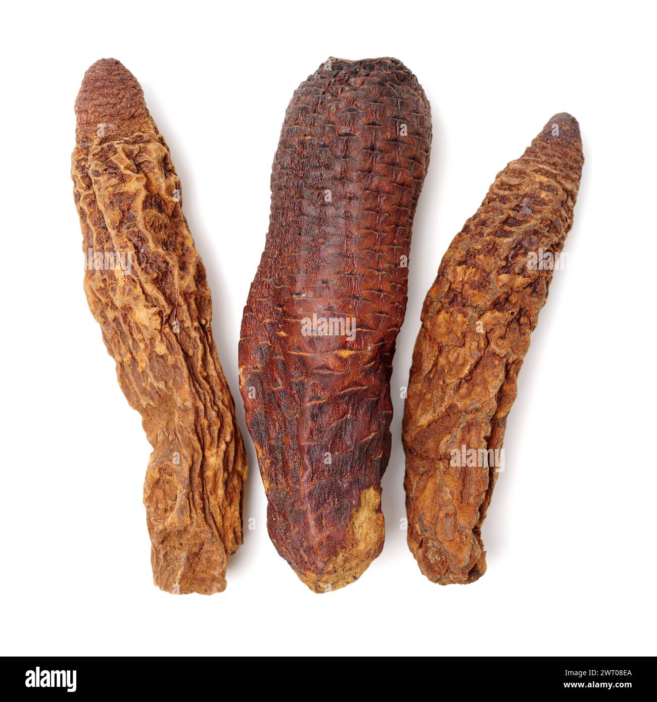 Medicina tradizionale cinese su sfondo bianco Foto Stock